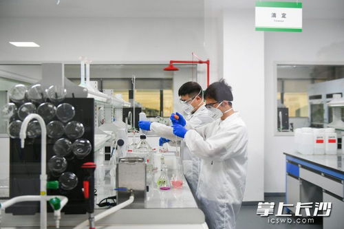 长沙向新而行，为质而奔 环保材料研发引领绿色未来