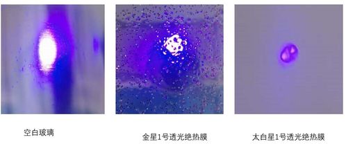 华豹新材料亮相2020中国绿色涂料涂装交流合作大会